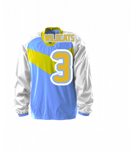 Ann Arbor Jersey