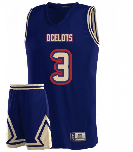 Illinois Jersey