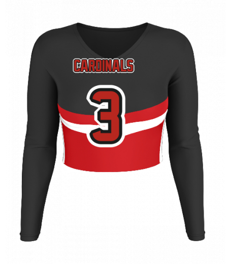 Carmel V  Neck Crop Jersey