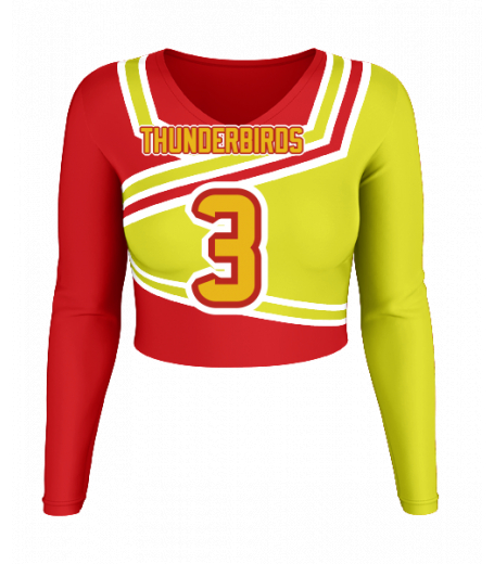 Delray V  Neck Crop Jersey