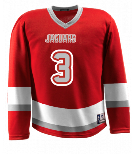 Minnesota Jersey