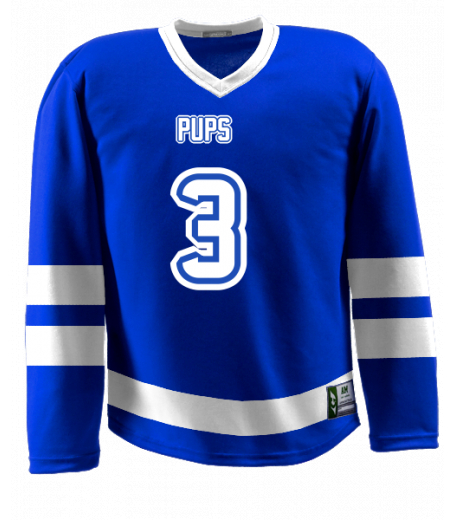 Winnipeg Jersey