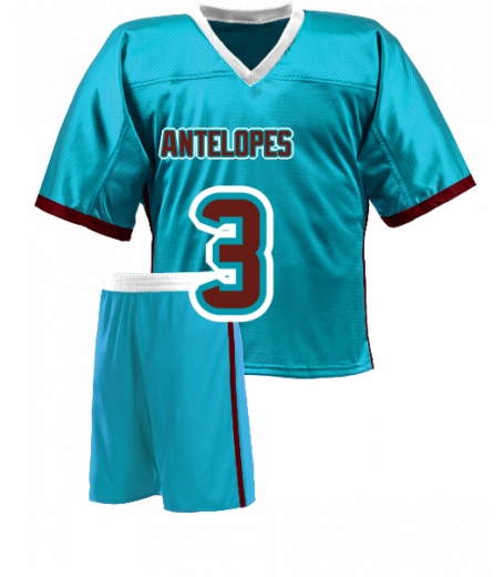 Alpine Jersey